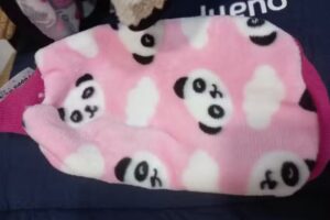 Central Vet Clinica Veterinaria, Farmacia y Pet Shop