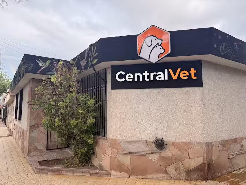 CentralVet Veterinaria