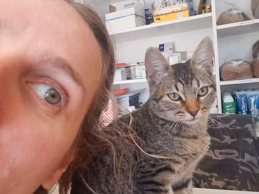 Centro Cl&iacute;nico veterinario