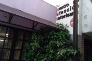 centro de atención veterinaria