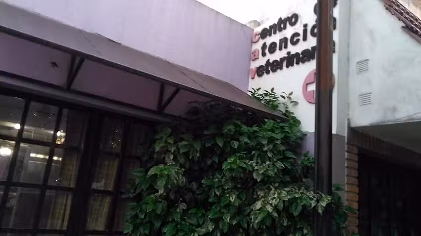 centro de atenci&oacute;n veterinaria