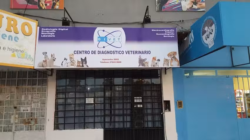 Centro De Diagn&oacute;stico Veterinario DIVET