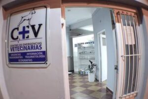 Centro De Emergencias Veterinarias