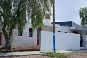 Centro de Esterilizaci&oacute;n para Mascotas Perros y Gatos