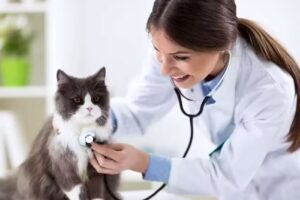 Centro Integral de Diagnostico Veterinario