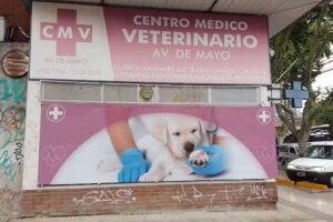 CENTRO MEDICO VETERINARIO AV. DE MAYO