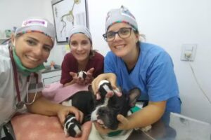 Centro Médico Veterinario tierra de sueños 2