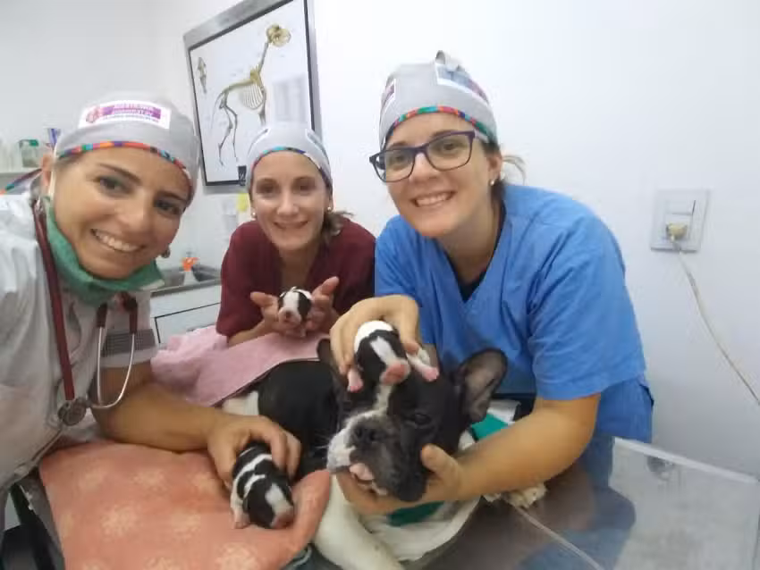 Centro M&eacute;dico Veterinario tierra de sue&ntilde;os 2