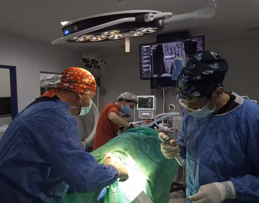 CENTRO QUIRURGICO VETERINARIO Dr. Marcelo J. Miserendino