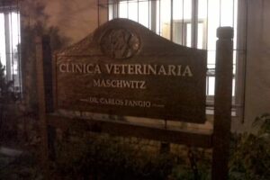 Centro Veterinaria Maschwitz