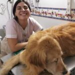 Centro Veterinario Avellaneda