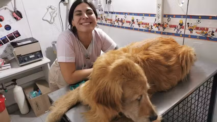 Centro Veterinario Avellaneda