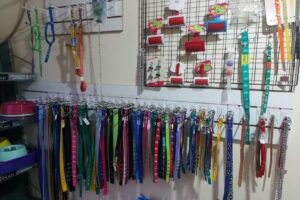 Centro Veterinario Bariloche