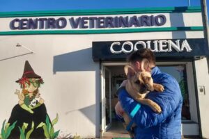 Centro Veterinario Coquena &ndash; Cl&iacute;nca Veterinaria