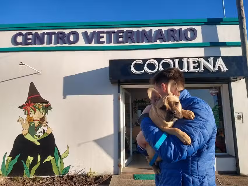 Centro Veterinario Coquena &ndash; Cl&iacute;nca Veterinaria