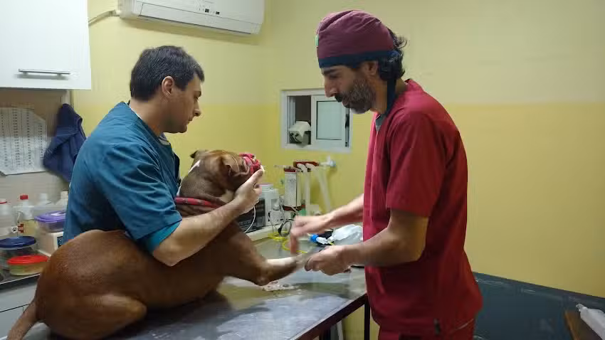 Centro Veterinario Divet