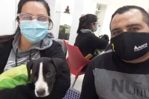 Centro Veterinario Gorriti