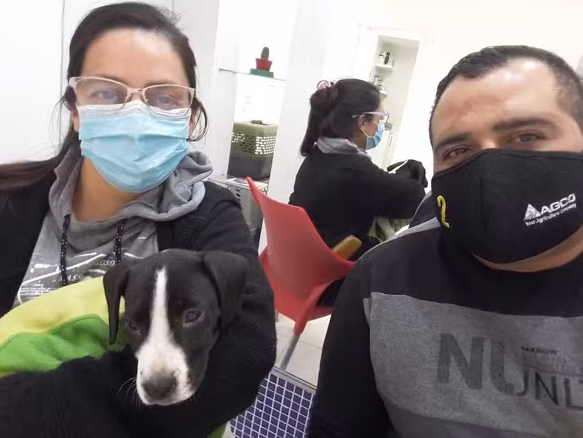 Centro Veterinario Gorriti