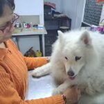 Centro Veterinario Integral