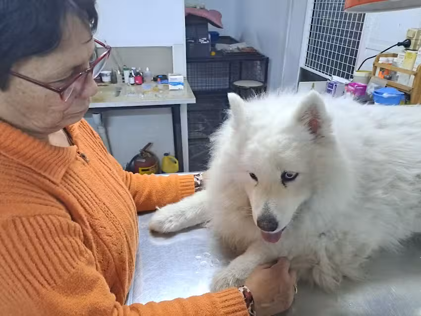 Centro Veterinario Integral