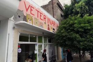 CES Centro Veterinario