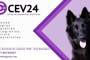 CEV 24hs Cl&iacute;nica de Emergencias Veterinarias