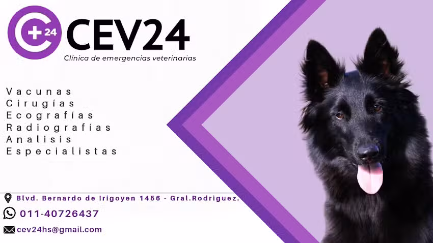 CEV 24hs Cl&iacute;nica de Emergencias Veterinarias