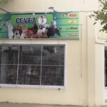 CEVET Centro Veterinario
