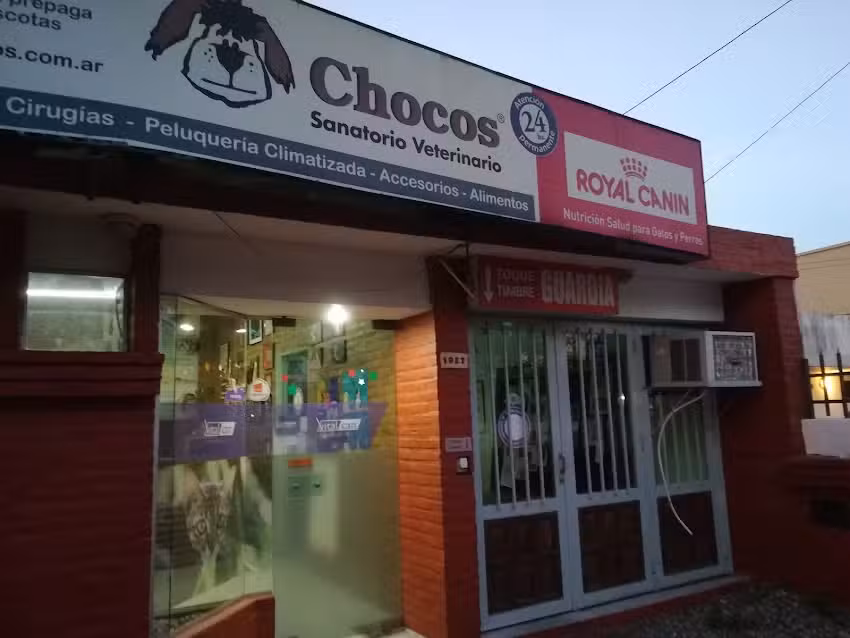 Chocos