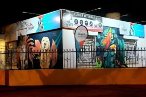 City VET Cl&iacute;nica Veterinaria