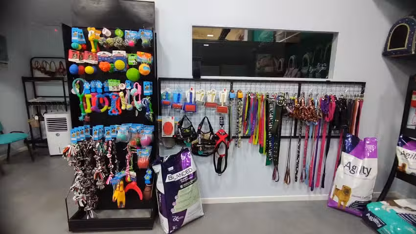 CIVet &ndash; Cl&iacute;nica Integral Veterinaria