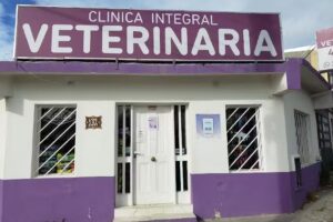 Clinica Integral Veterinaria km8