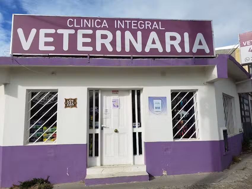 Clinica Integral Veterinaria km8