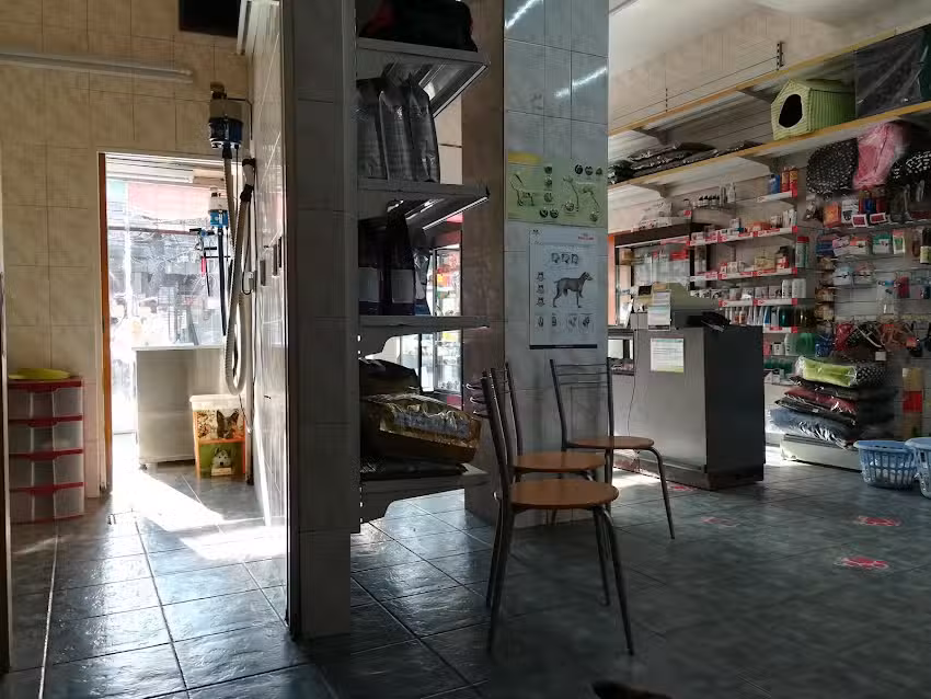 Cl&iacute;nica My Vet