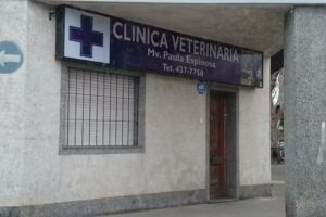 Clinica Veterinaria