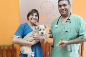 Cl&iacute;nica Veterinaria