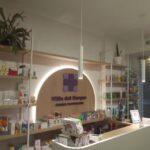 Cl&iacute;nica Veterinaria