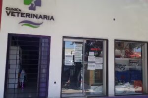 CLINICA VETERINARIA (Adrian Gonzalez)