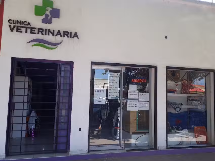 CLINICA VETERINARIA (Adrian Gonzalez)