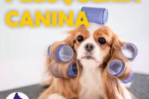 Clinica Veterinaria Albeytar