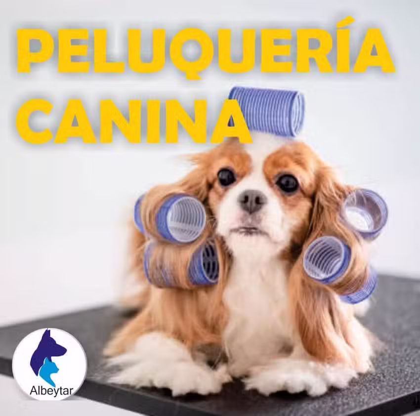 Clinica Veterinaria Albeytar
