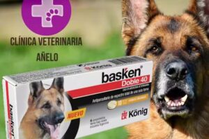 Cl&iacute;nica Veterinaria A&ntilde;elo