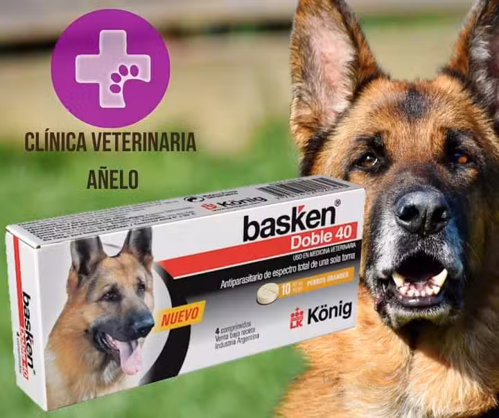 Cl&iacute;nica Veterinaria A&ntilde;elo