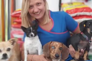 Cl&iacute;nica Veterinaria ANIMANIACS