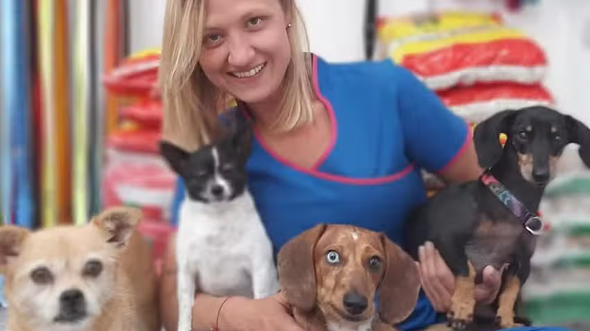 Cl&iacute;nica Veterinaria ANIMANIACS