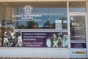Cl&iacute;nica Veterinaria Aurora