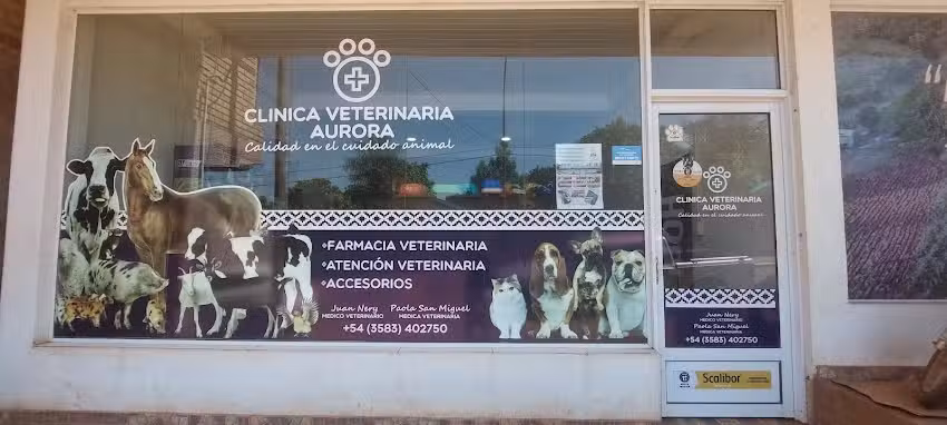 Cl&iacute;nica Veterinaria Aurora