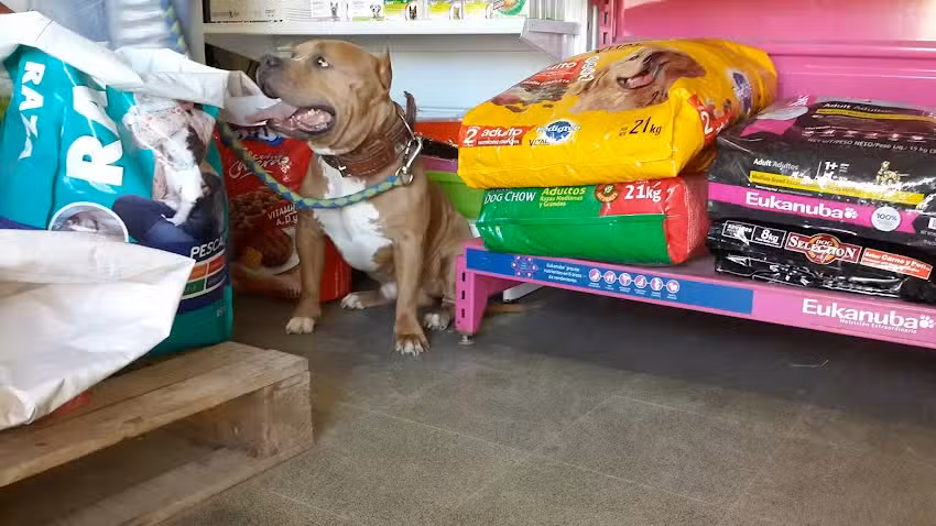 Cl&iacute;nica Veterinaria AYLLU