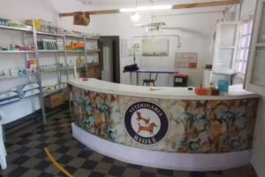 Clínica Veterinaria Biolé