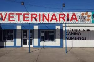 Clinica Veterinaria Buena Pata